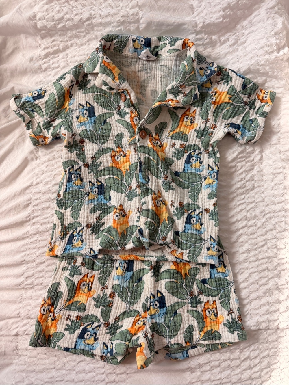 Kids Bluey Short Sleeve Shirt Set - Green/Orange